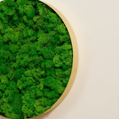 Round-framed Moss Wall Hangings