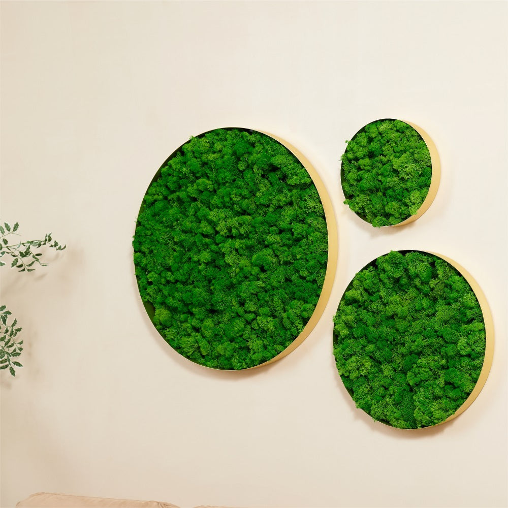 Round-framed Moss Wall Hangings