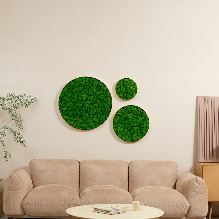 Round-framed Moss Wall Hangings