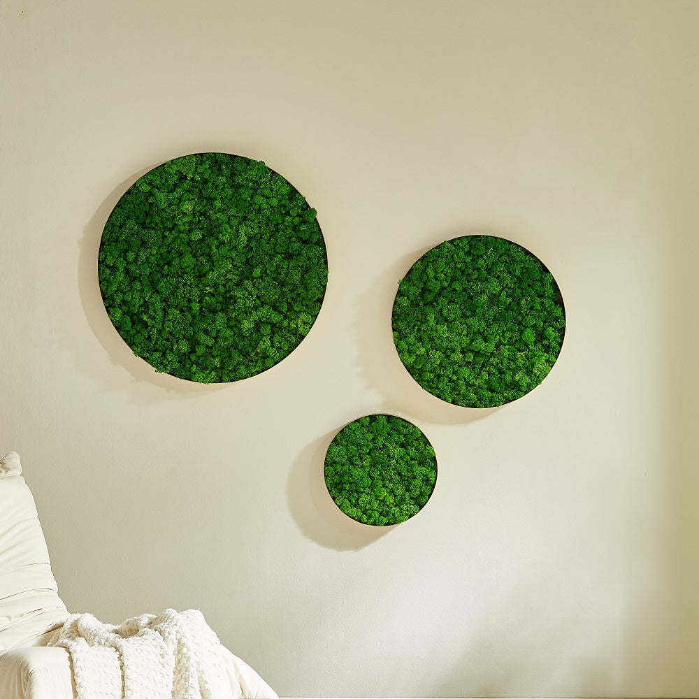 Round-framed Moss Wall Hangings