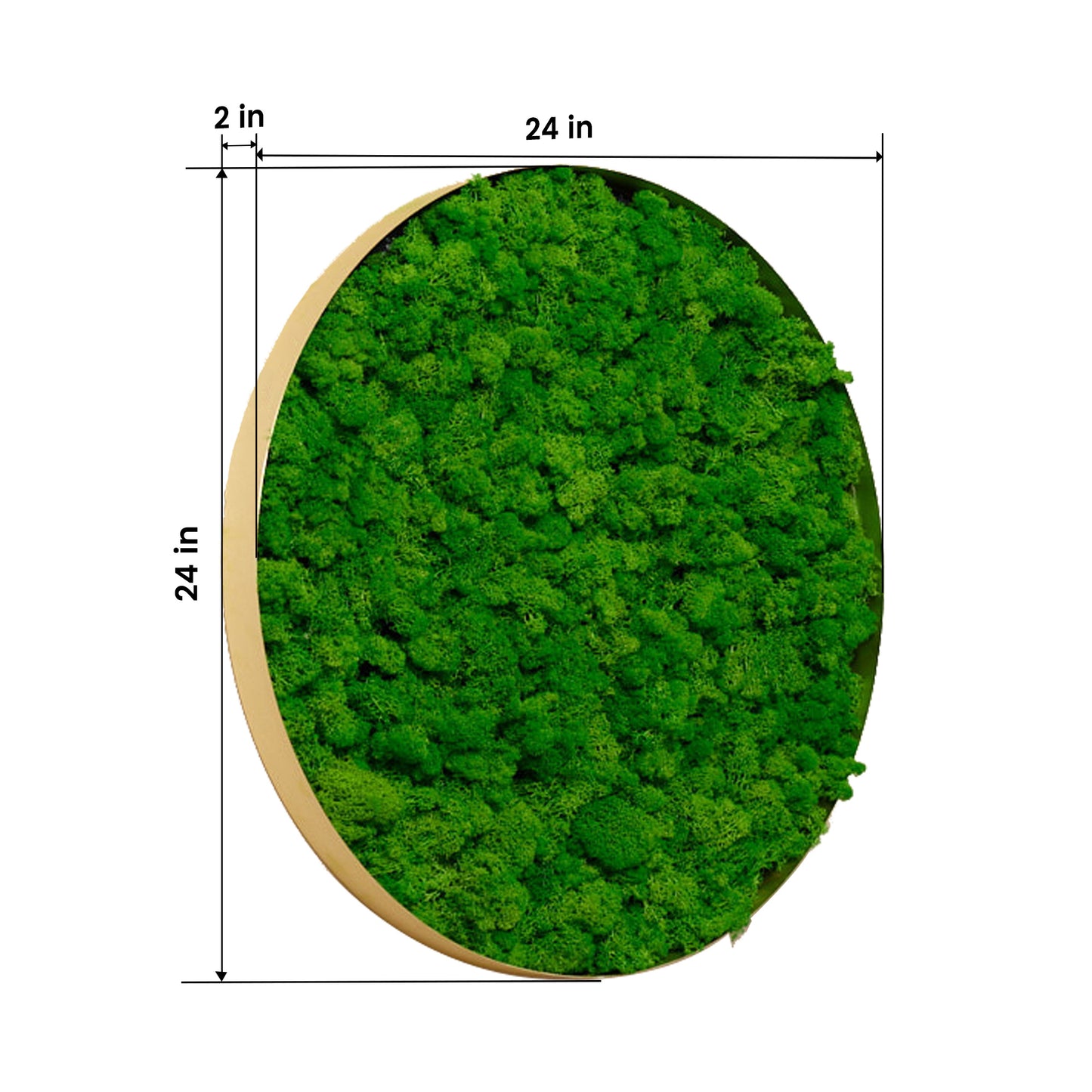 Round-framed Moss Wall Hangings