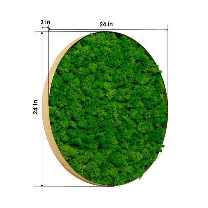 Round-framed Moss Wall Hangings